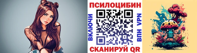 Псилоцибиновые грибы Cubensis  Купить где  Сочи 