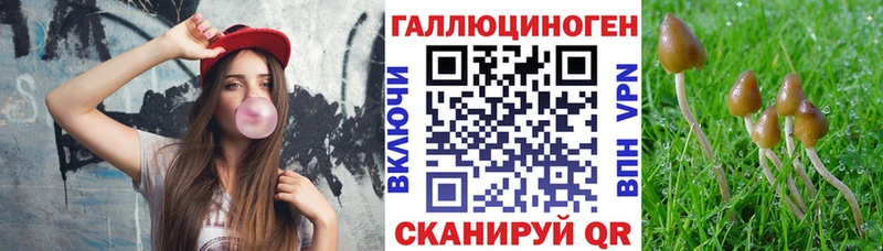 Псилоцибиновые грибы MAGIC MUSHROOMS Сочи